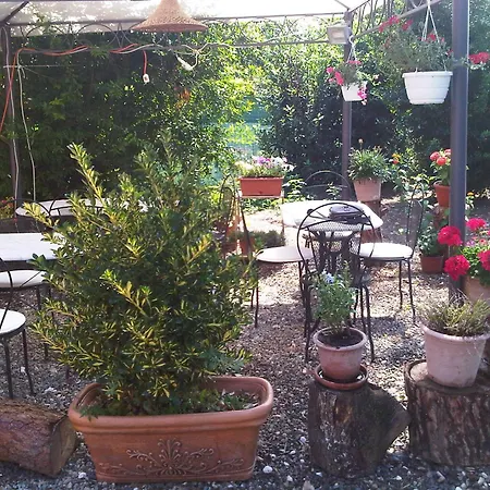 Il Moscondoro Montopoli in Val dʼArno