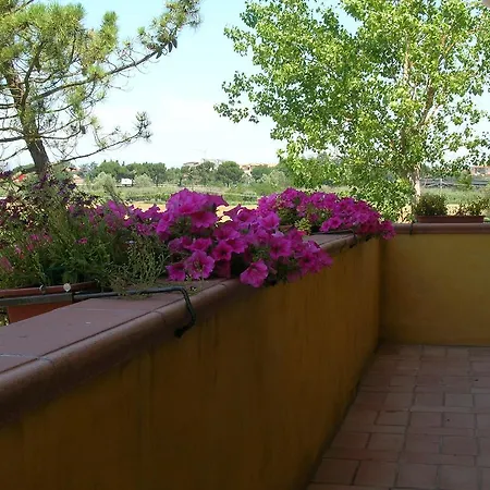 Il Moscondoro Montopoli in Val dʼArno